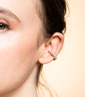 RAINBOW EAR JEWEL