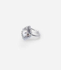 STELLAR PULSATION RING