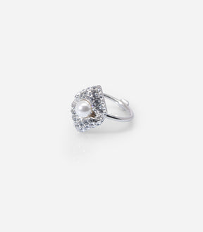  STELLAR PULSATION RING