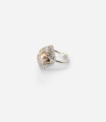  STELLAR PULSATION RING