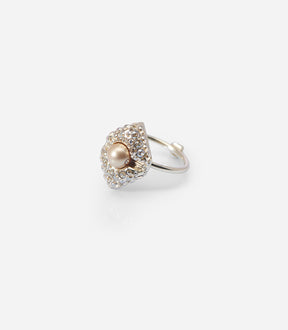  STELLAR PULSATION RING